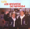 Los Broncos de Reynosa - Paso del Norte
