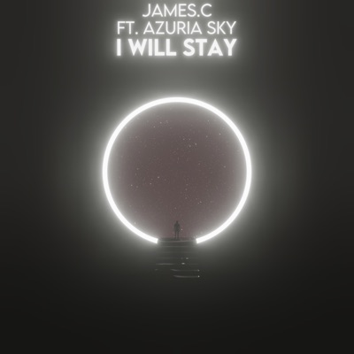 I Will Stay - Single