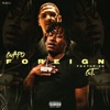 Foreign (feat. G.T.) - Single