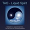 Ocean Waves for Relaxation Meditation - Taoist Meditation Specialists lyrics