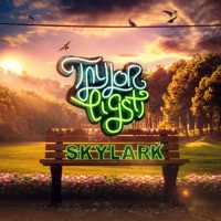 Skylark - Single - Taylor Eigsti & Casey Abrams