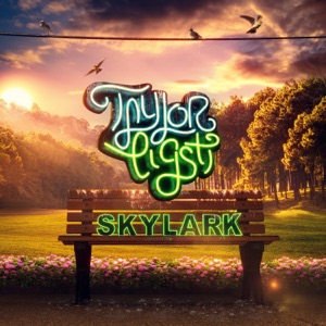 Skylark - Single