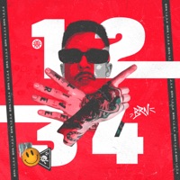 1, 2, 3, 4 - Single - BRN