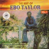 Ebo Taylor