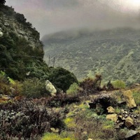 Yup - Single - Tommy 760