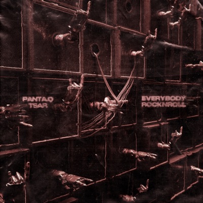 Everybody Rocknroll - Single