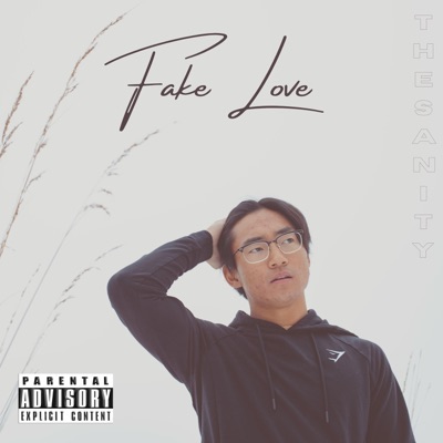 Fake Love