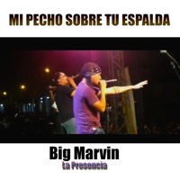Mi Pecho sobre tu Espalda - Single - Big Marvin