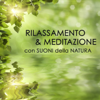Rilassamento e Meditazione con Suoni della Natura - Relax, Rilassamento, Wellness e Musica