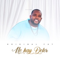 No Hay Dolor - Single - Original Fat