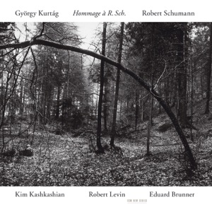 Hommage à R. Schumann