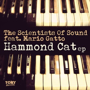 Hammond Cat - Single