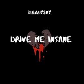 Drive Me Insane BigGuySky