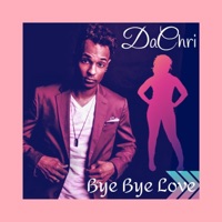 Bye Bye Love - Single - DaChri