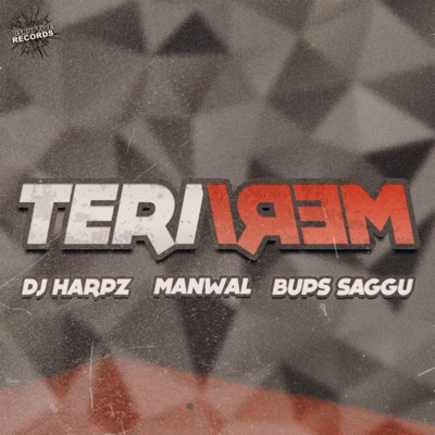 Teri Meri - Single