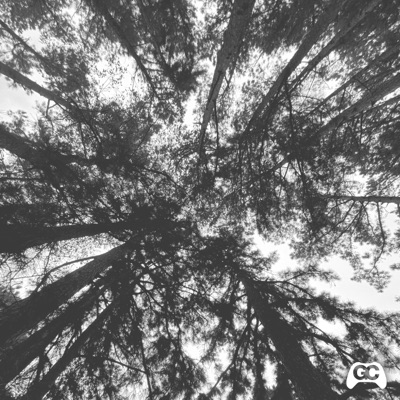 Lost Woods - Single