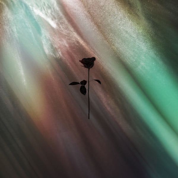 Open Sky - Single