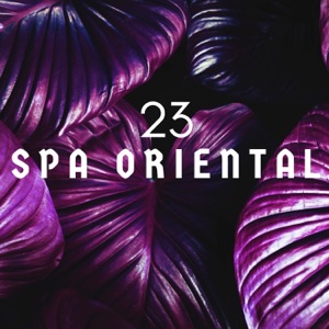 23 Spa Oriental - Relájese y Renuévese, de Pies a Cabeza, Música de Serenidad Absoluta para el Spa y Terapias de Relajación y Tratamientos Holístico, Sonidos de la Naturaleza