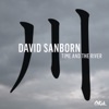 David Sanborn