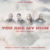 You Are My High (Ty moy kayf) [Latin Version] artwork