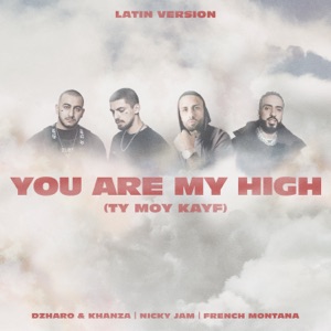 You Are My High (Ty moy kayf) [Latin Version]
