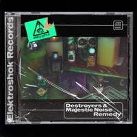 Remedy - Single - Destroyers & Majestic Noise