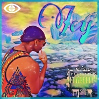 ICY (feat. Dez Monie) - Single - The Reform