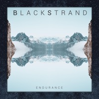 Endurance - Single - Black Strand