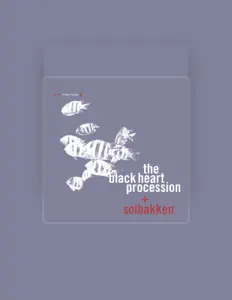 Solbakken सुनें, म्यूज़िक वीडियो देखें, बायो पढ़ें, दौरे की तारीखें और बहुत कुछ देखें!