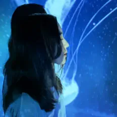 Poslechněte si interpreta Akiko Kido, sledujte hudební videa, přečtěte si životopis, podívejte se na data turné a další informace.