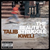 Never Been In Love by Talib Kweli