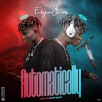 Automatically - Single - Easywealth OOS