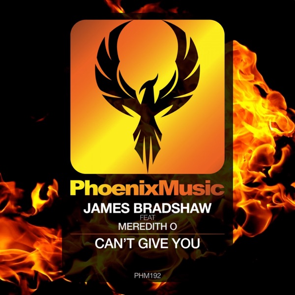 Can't Give You - Single