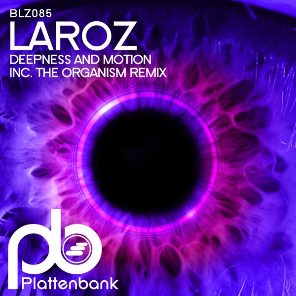 Deepness and Motion - Single