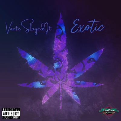 Exotic - Single