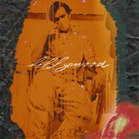 Hollywood - Single - Parker Gandy