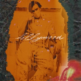 Moon Ringz Parker Gandy