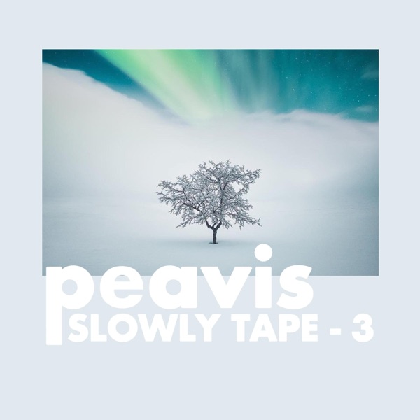 Slowly Tape 3 - EP