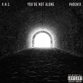 You're Not Alone (feat. Phoen1x) K.N.S.