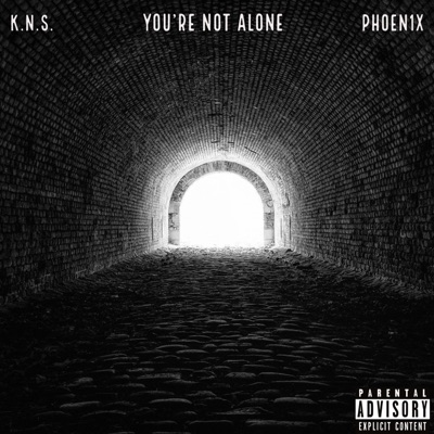You're Not Alone (feat. Phoen1x) - Single