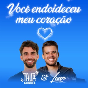 Você Endoideceu Meu Coração - Single