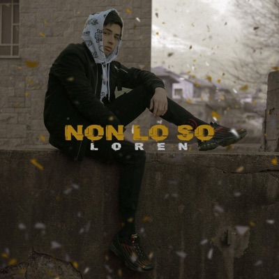 Non Lo So - Single