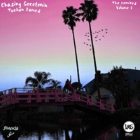 Chasing Serotonin (The Remixes, Vol. 2) - EP - Turhan James & Miracle Mangal