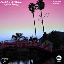 Chasing Serotonin (feat. HASHAM) [HASHAM Remix] Turhan James & Miracle Mangal