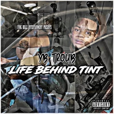 Life Behind Tint