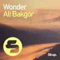 Wonder