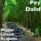 Niggun Leibish Acapella - Pey Dalid lyrics