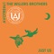 Not Ignoring (Zohki Remix) - The Willers Brothers lyrics
