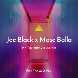 Free the Guys, Pt. 2 (My Testimony) Freestyle Joe Black