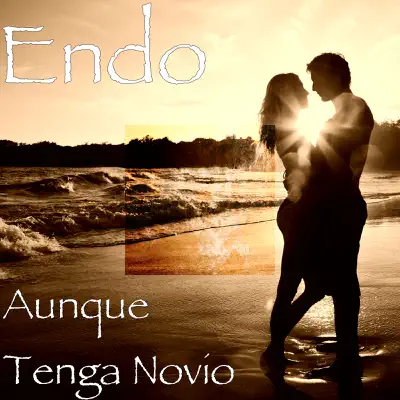 Aunque Tenga Novio - Single - Endo